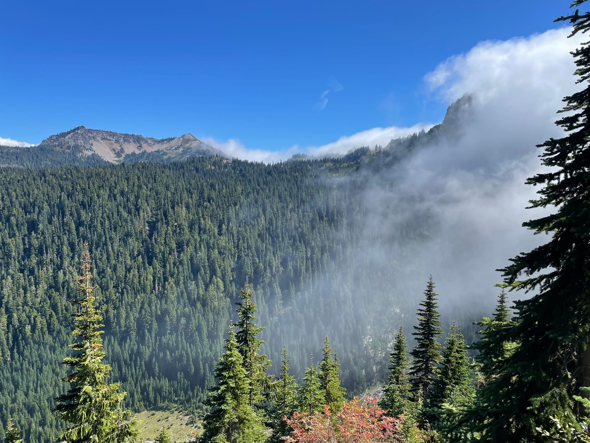 Honey, Can I Retire Yet?